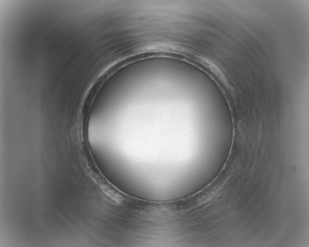 X0000073850931200608311957