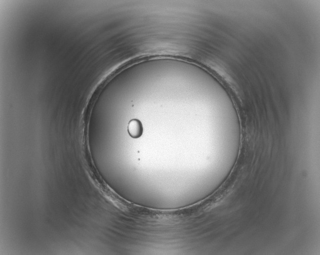 X0000073850933200608311957