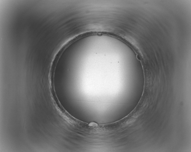 X0000073850935200608311957