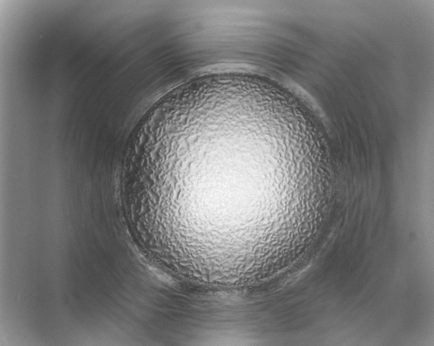 X0000073850937200608311957