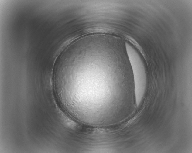 X0000073850938200608311957