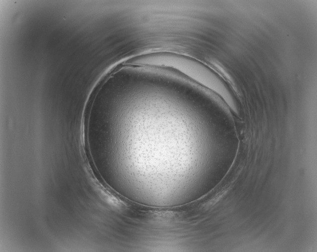 X0000073850940200608311957