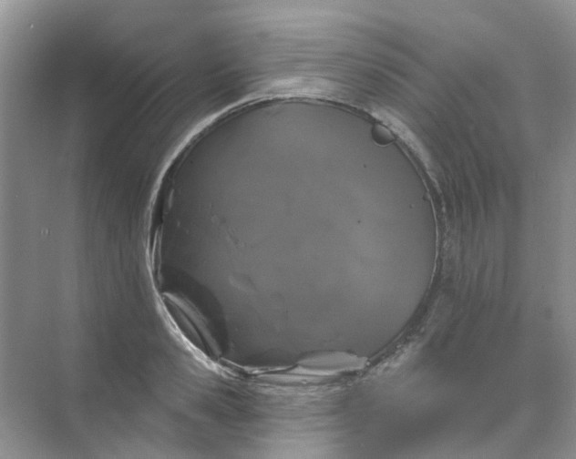 X0000073850941200608311957