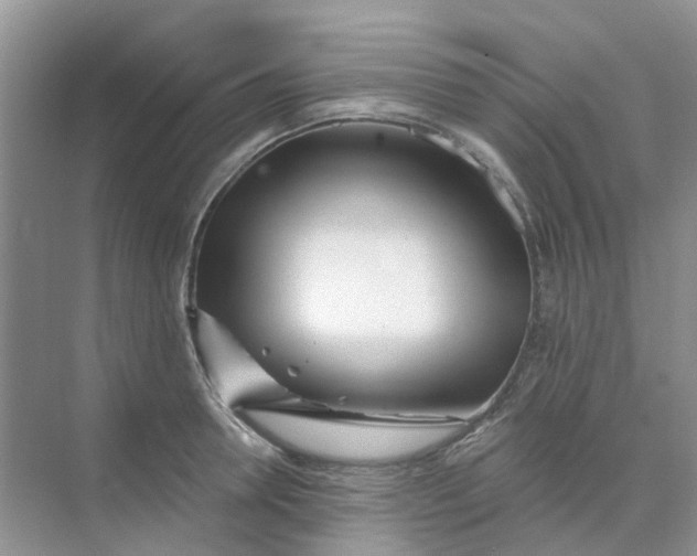 X0000073850946200608311957