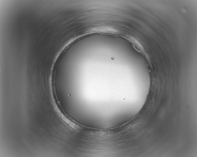 X0000073850947200608311957