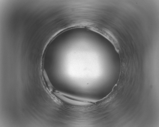 X0000073850948200608311957