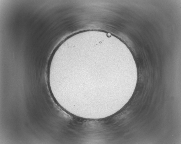 X0000073850950200608311957