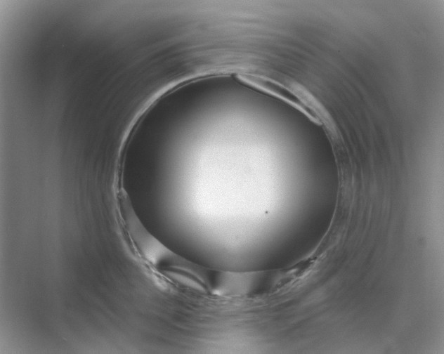 X0000073850956200608311957