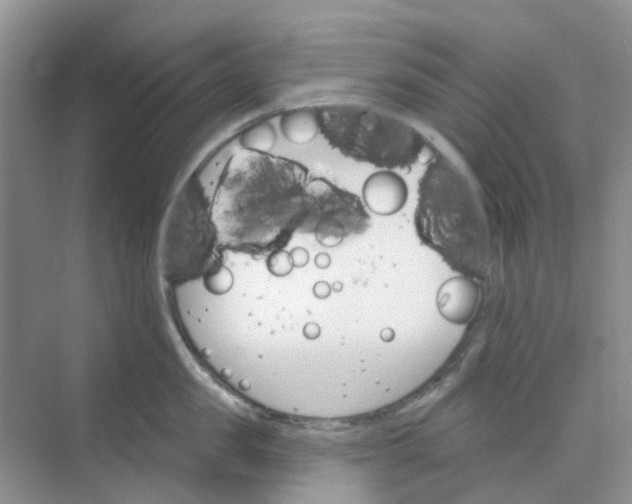 X0000073850957200608311957