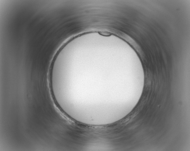 X0000073850958200608311957