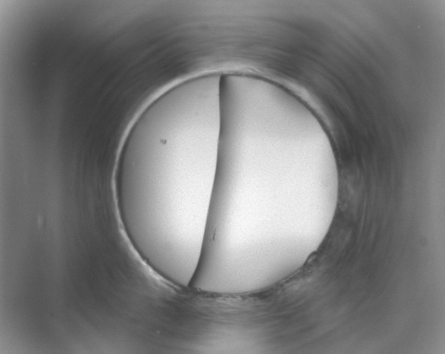 X0000073850959200608311957