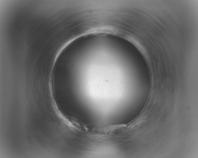 X0000073850960200608311957