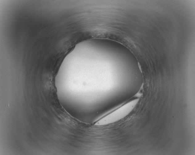 X0000073850964200608311956