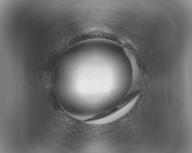 X0000073850965200608311956