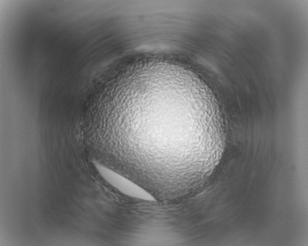 X0000073850966200608311956