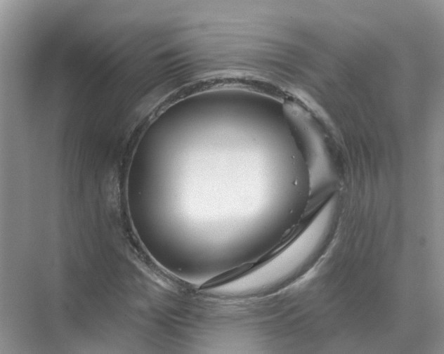 X0000073850969200608311956