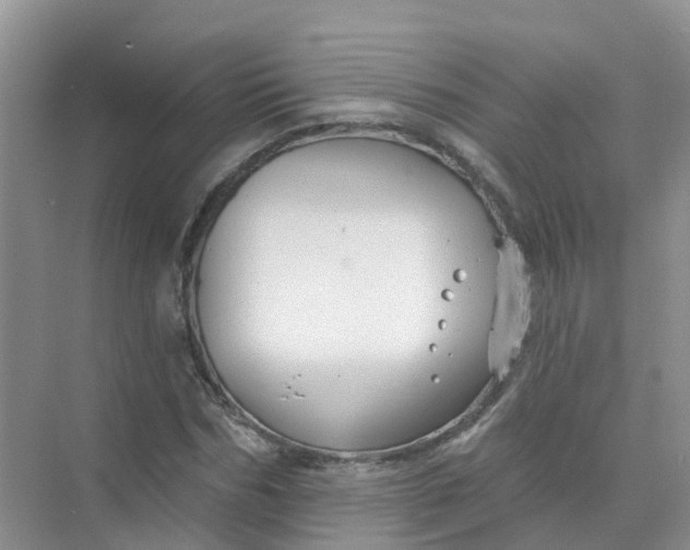 X0000073850970200608311956