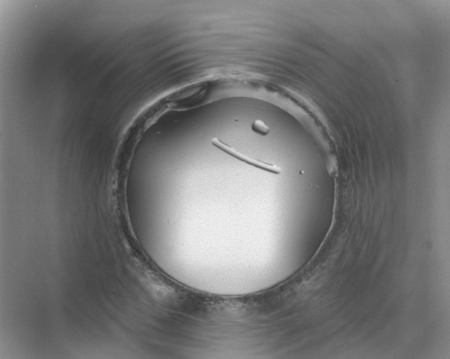 X0000073850971200608311956