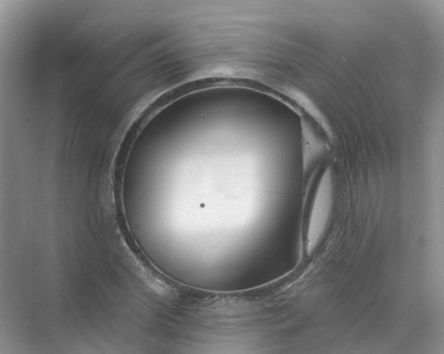 X0000073850972200608311956