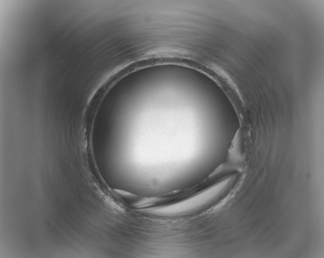 X0000073850973200608311956