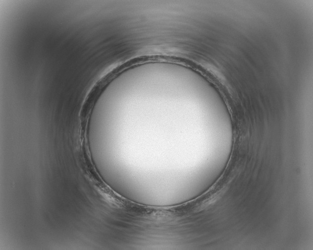 X0000073850974200608311956