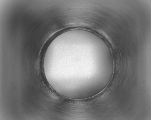 X0000073850975200608311956