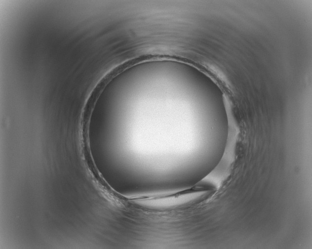 X0000073850976200608311956