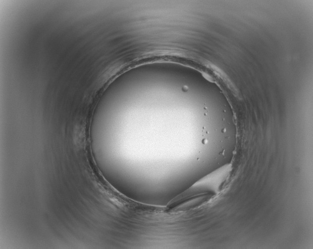 X0000073850977200608311956