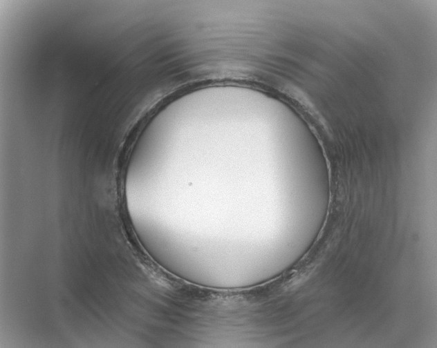 X0000073850978200608311956