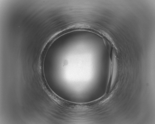 X0000073850981200608311956