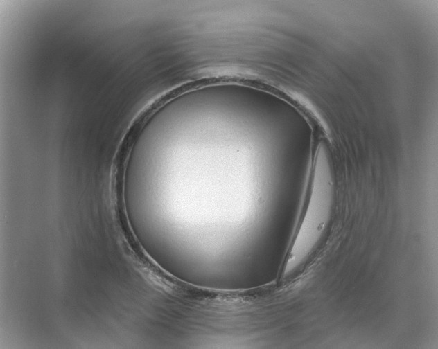 X0000073850983200608311956