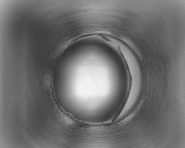 X0000073850985200608311956