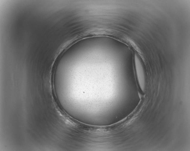 X0000073850986200608311956