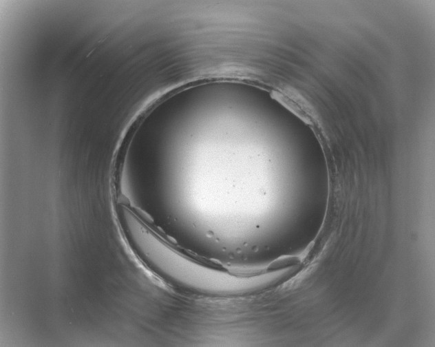 X0000073850989200608311956