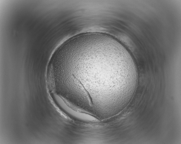 X0000073850990200608311956