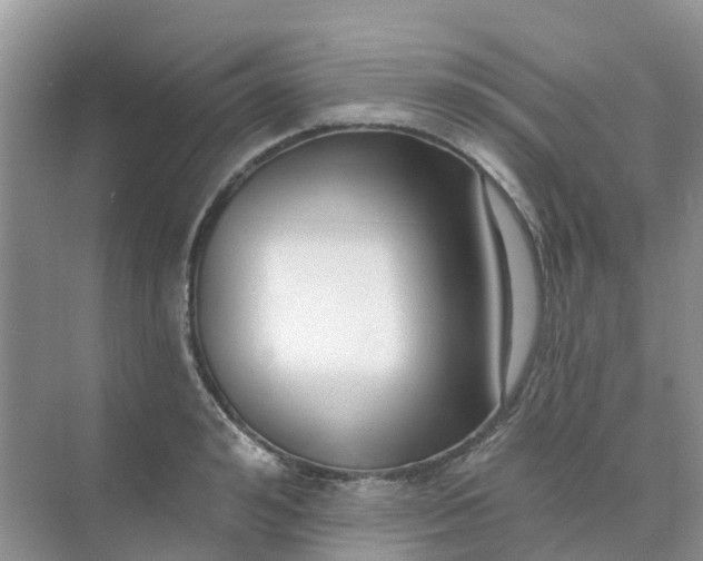 X0000073850992200608311956