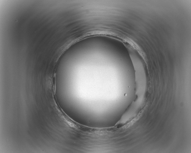 X0000073850993200608311956