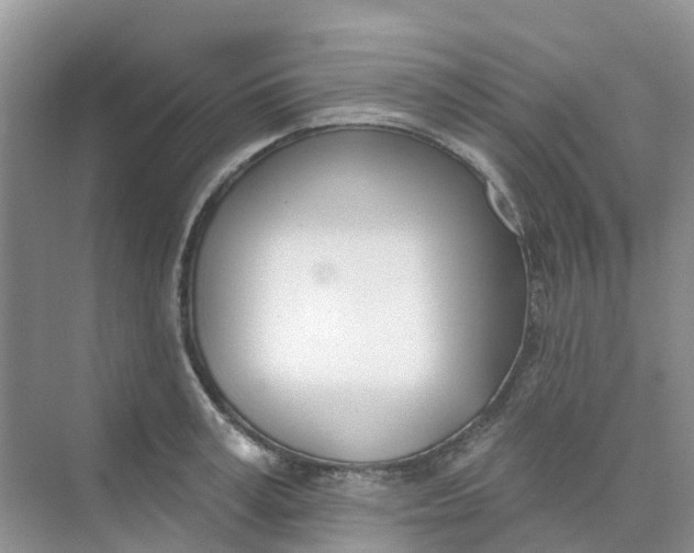 X0000073850995200608311956