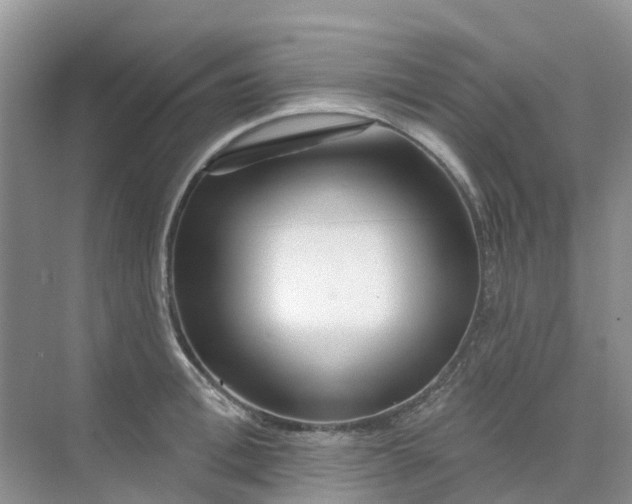 X0000073850996200608311956