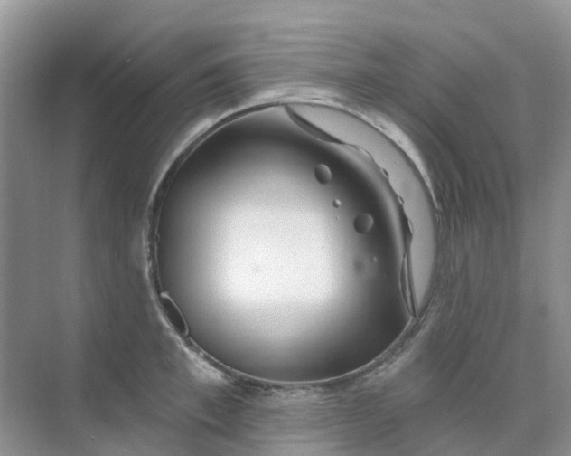 X0000073850997200608311956