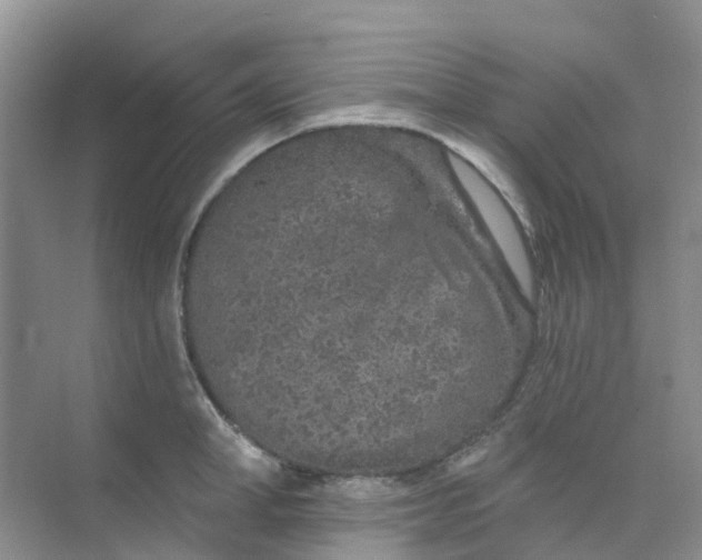 X0000073850998200608311956