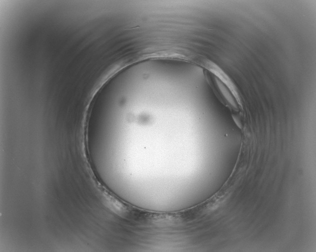 X0000073851002200608311956