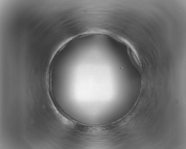 X0000073851003200608311956