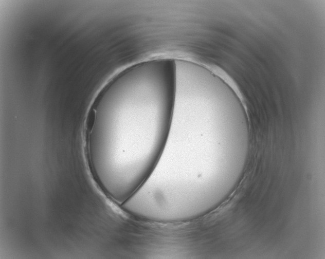 X0000073851005200608311956