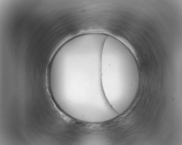 X0000073851006200608311956