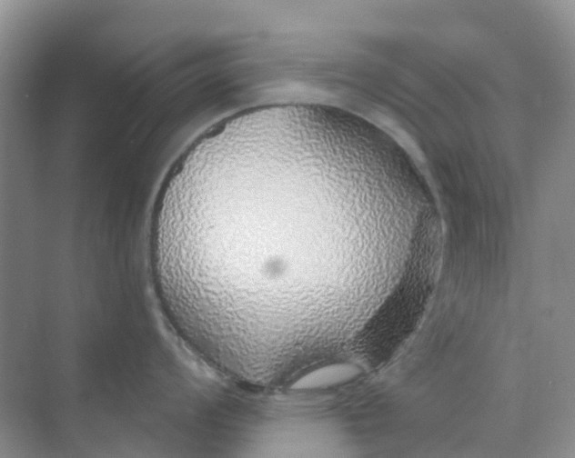 X0000073851008200608311956