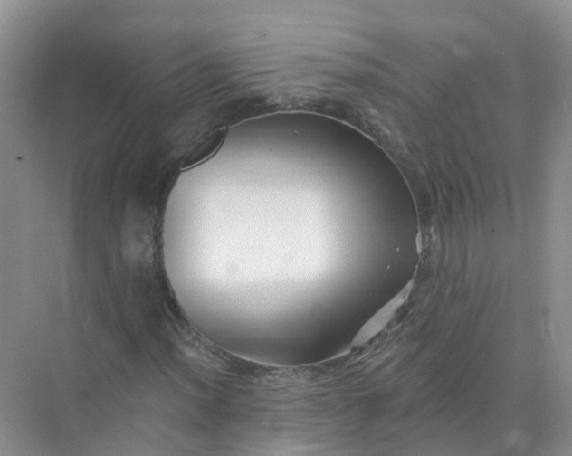 X0000073851012200608311955