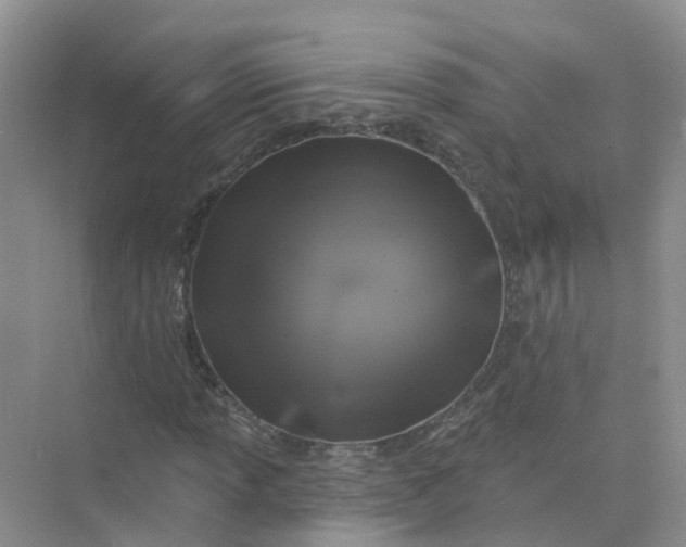 X0000073851013200608311955