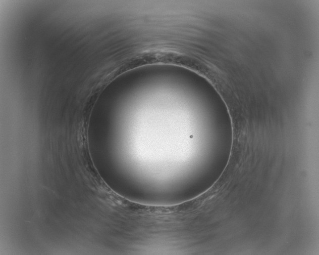 X0000073851014200608311955