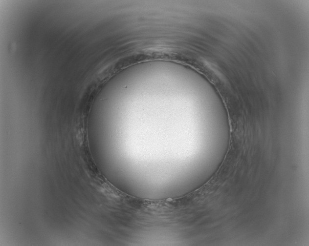 X0000073851015200608311955